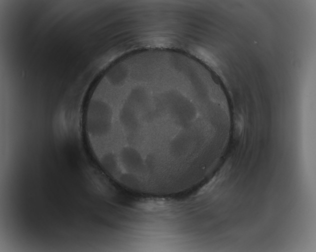 X0000088470439200706191351
