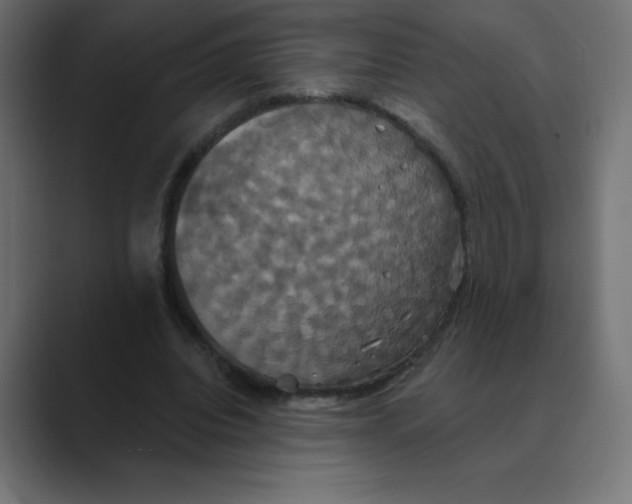 X0000088470440200706191351