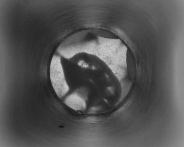 X0000088470441200706191351