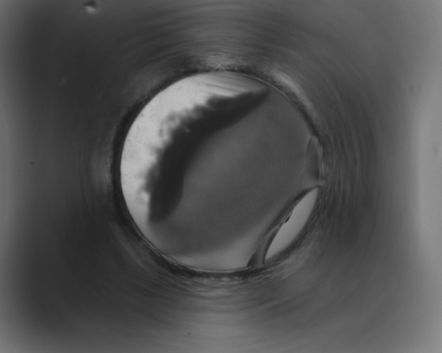 X0000088470443200706191351