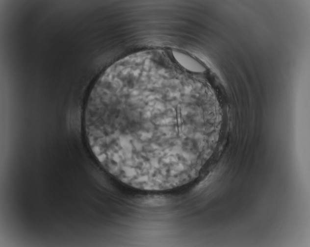 X0000088470445200706191351