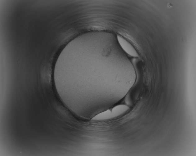 X0000088470446200706191351