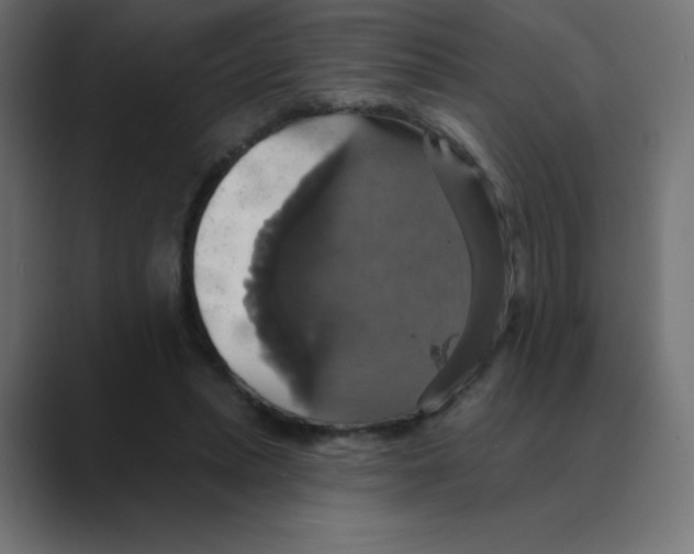 X0000088470447200706191351