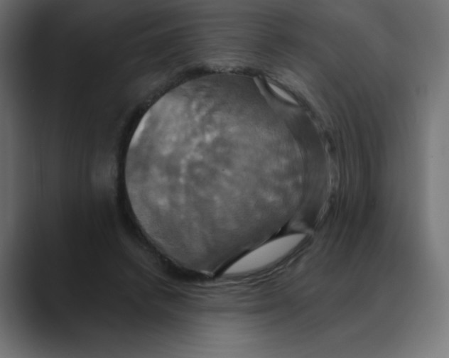 X0000088470448200706191351