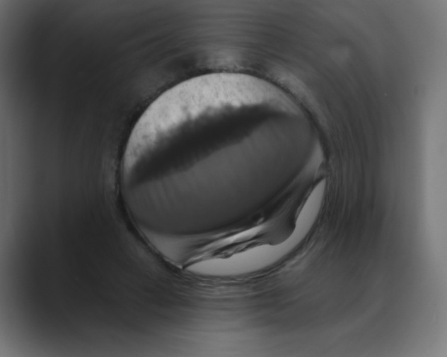 X0000088470449200706191351