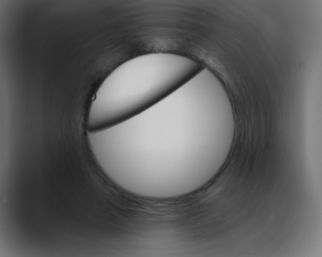 X0000088470450200706191351