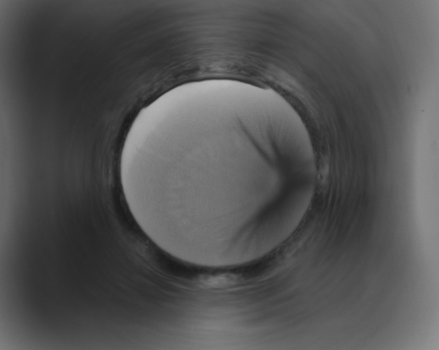 X0000088470452200706191351