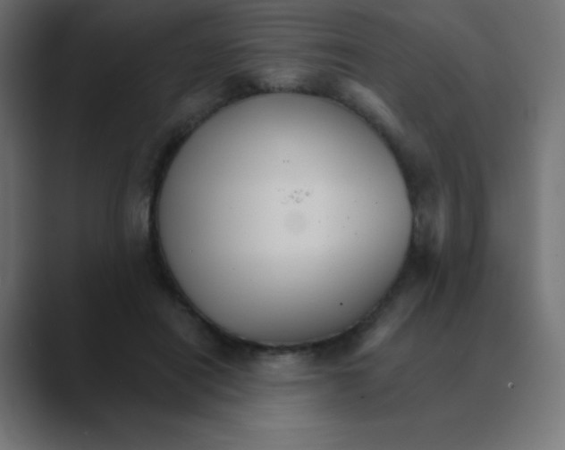 X0000088470454200706191351