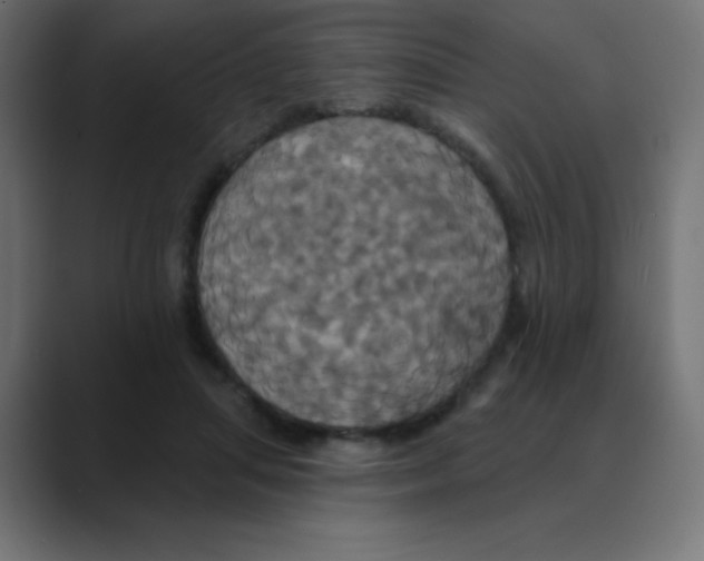 X0000088470455200706191351