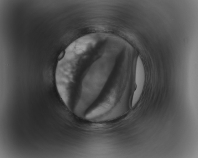 X0000088470457200706191351