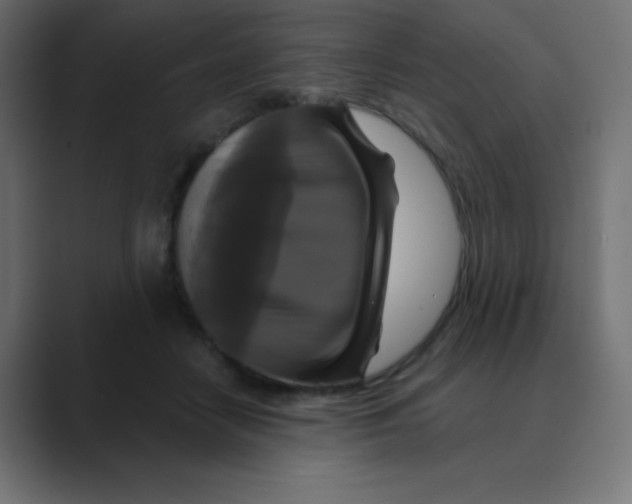 X0000088470458200706191351