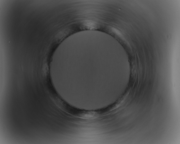 X0000088470459200706191351