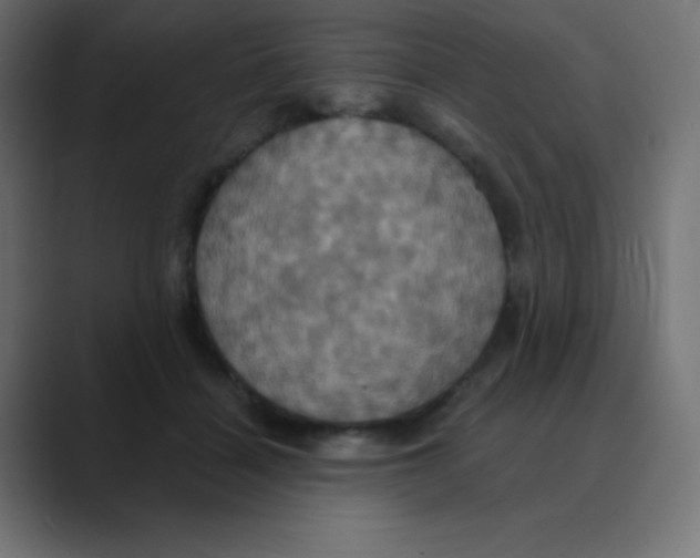 X0000088470460200706191351