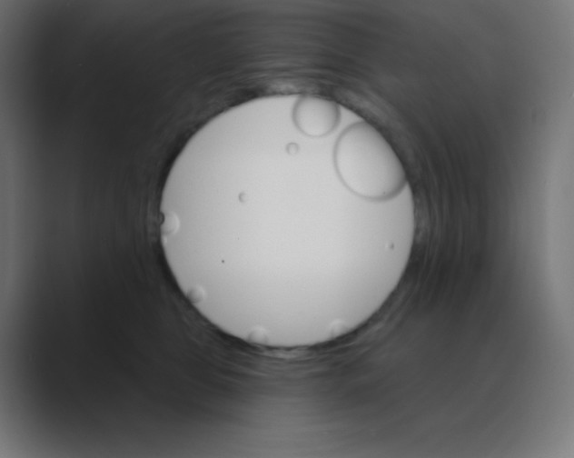 X0000088470469200706191351