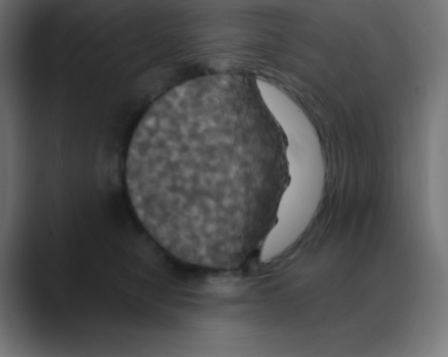 X0000088470470200706191351