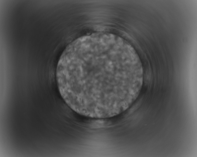 X0000088470473200706191351