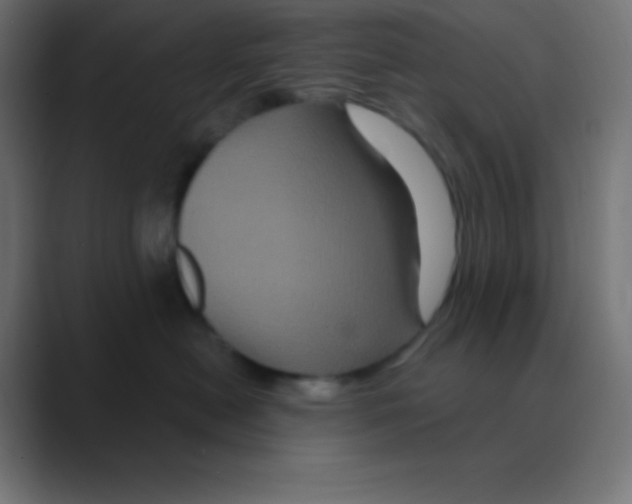 X0000088470478200706191351