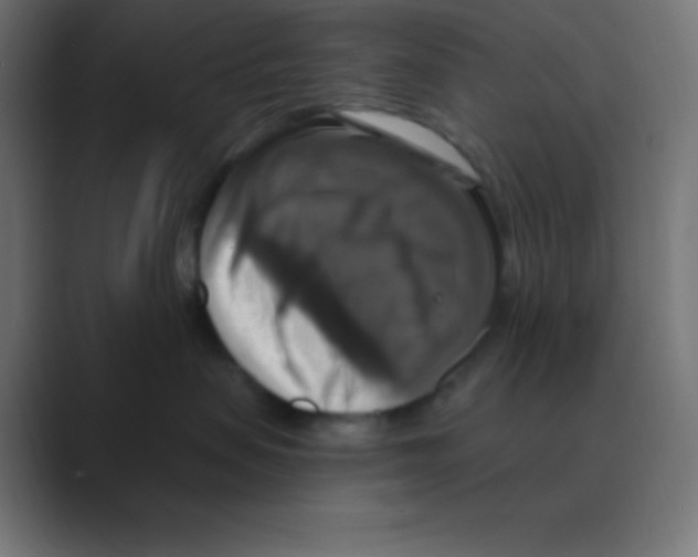 X0000088470479200706191351