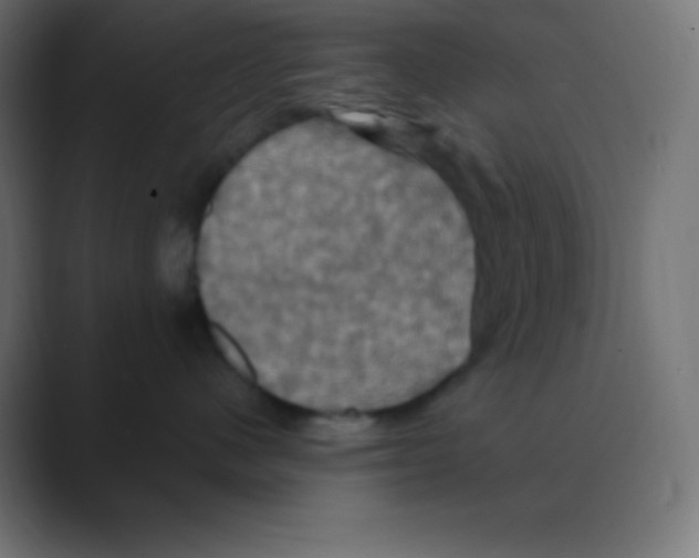X0000088470480200706191351