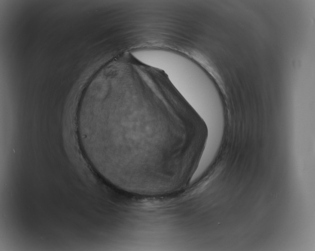 X0000088470481200706191351