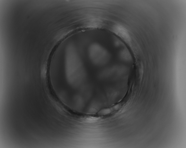 X0000088470483200706191351