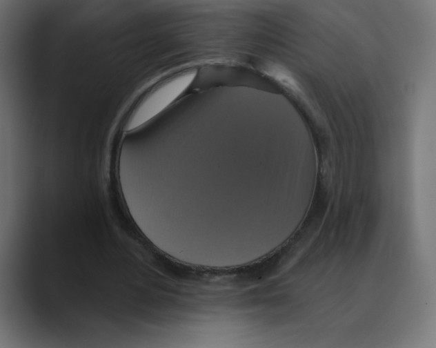 X0000088470484200706191351