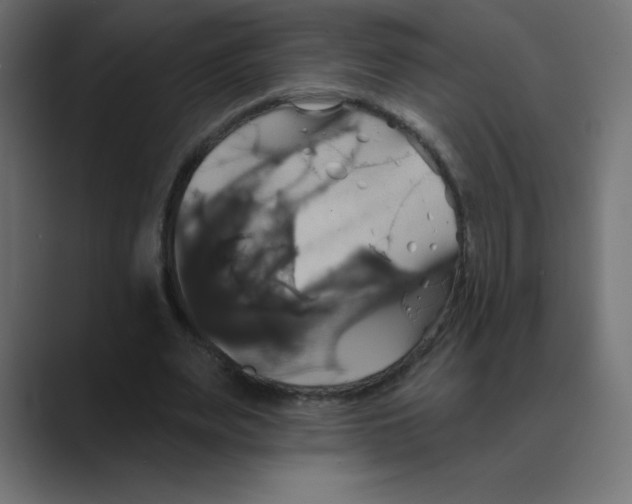 X0000088470487200706191350