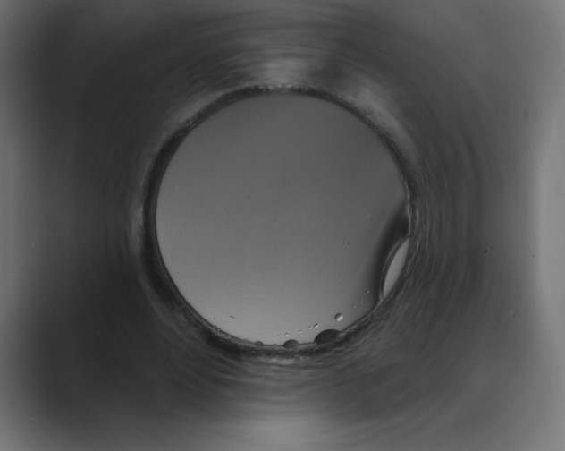 X0000088470488200706191350