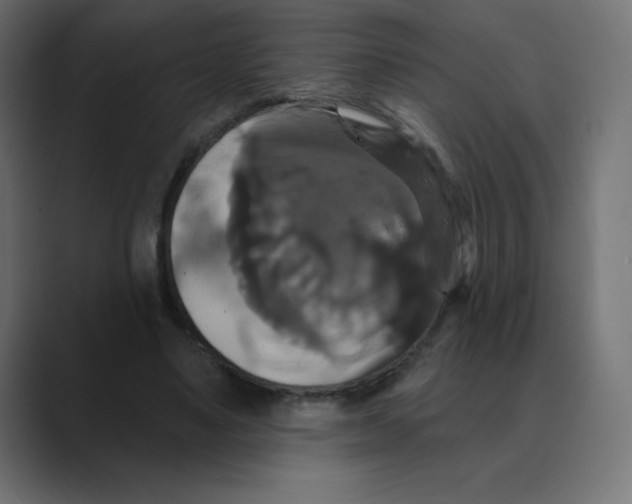 X0000088470491200706191350
