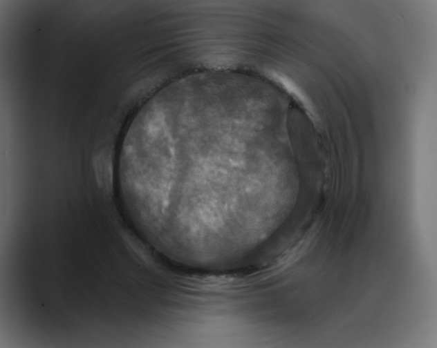 X0000088470493200706191350
