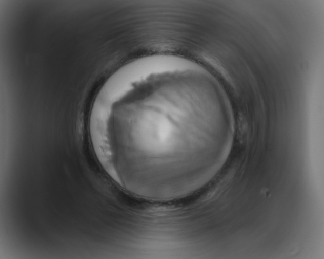 X0000088470494200706191350