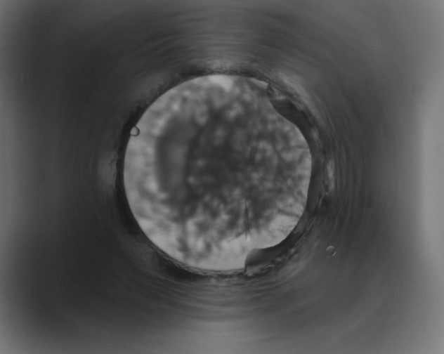 X0000088470495200706191350