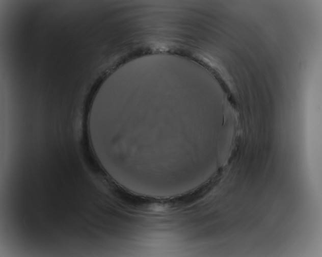 X0000088470496200706191350