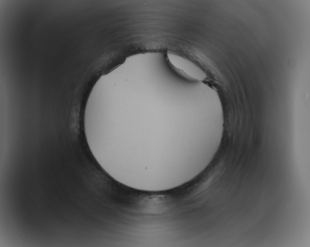 X0000088470497200706191350
