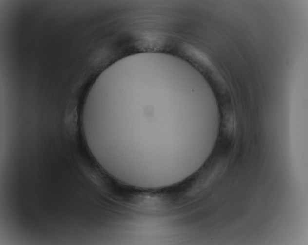 X0000088470498200706191350