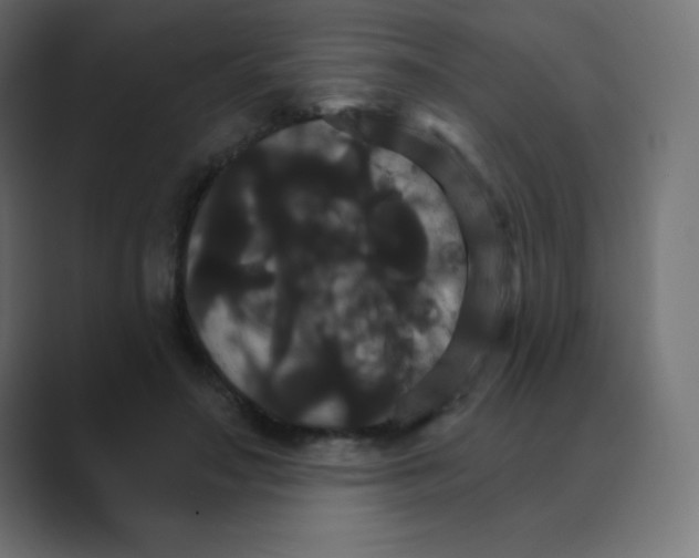 X0000088470499200706191350