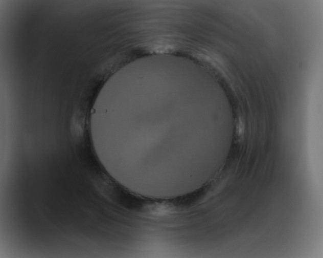 X0000088470503200706191350