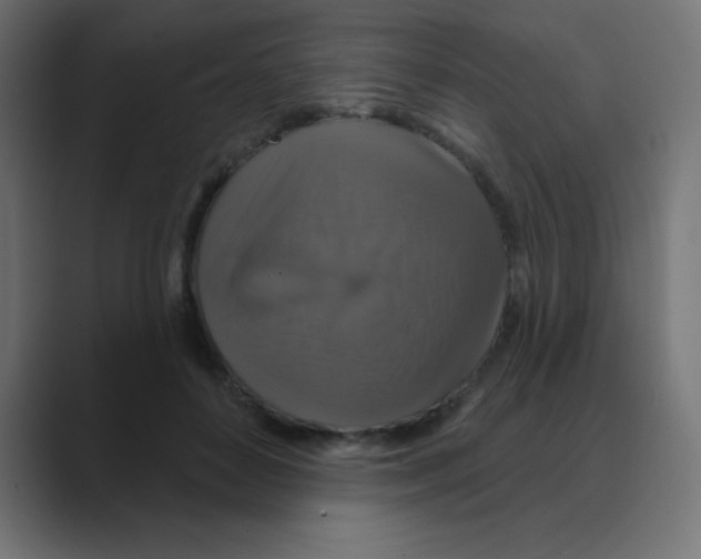 X0000088470504200706191350