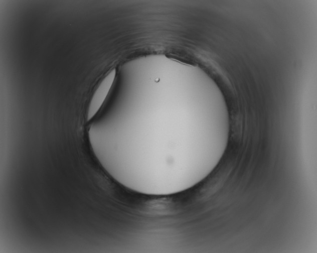 X0000088470505200706191350