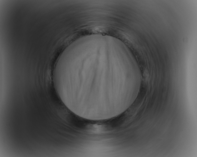 X0000088470506200706191350