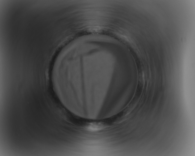 X0000088470508200706191350