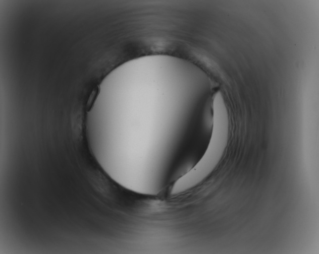 X0000088470509200706191350