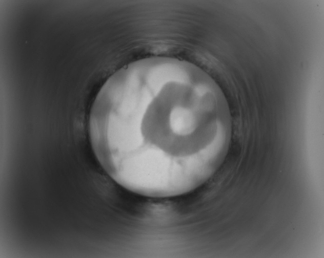 X0000088470510200706191350
