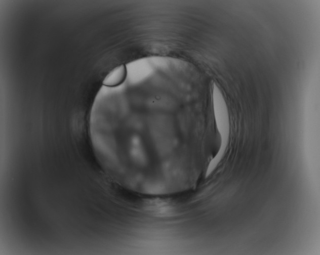X0000088470511200706191350
