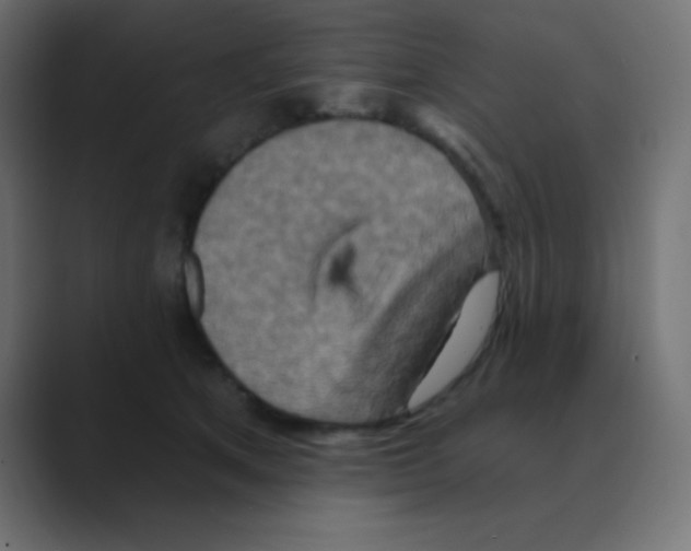 X0000088470513200706191350