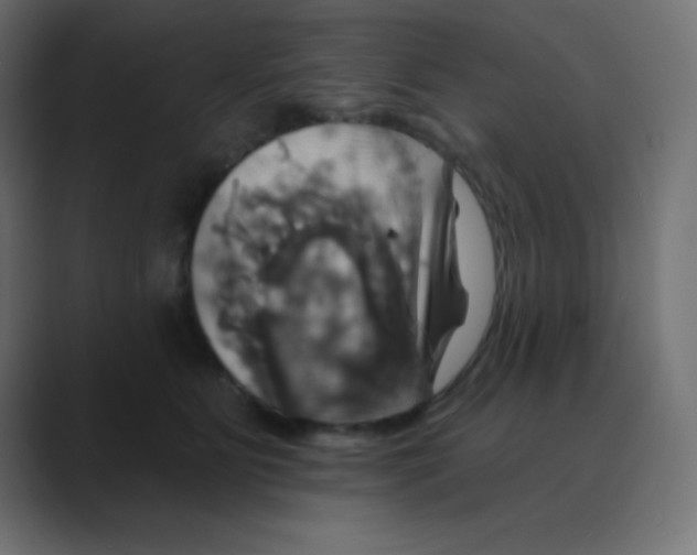 X0000088470515200706191350