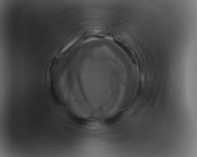 X0000088470516200706191350