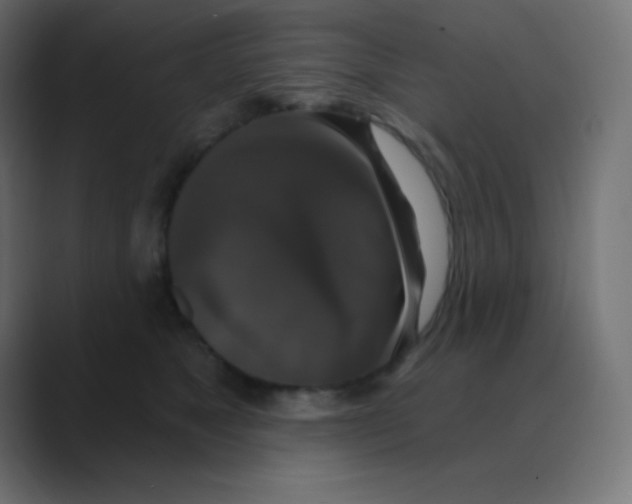 X0000088470517200706191350