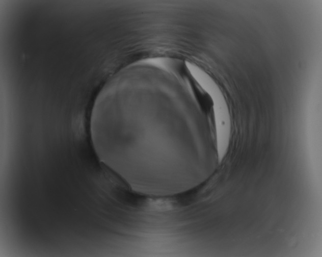 X0000088470520200706191350