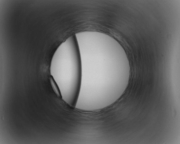 X0000088470521200706191350
